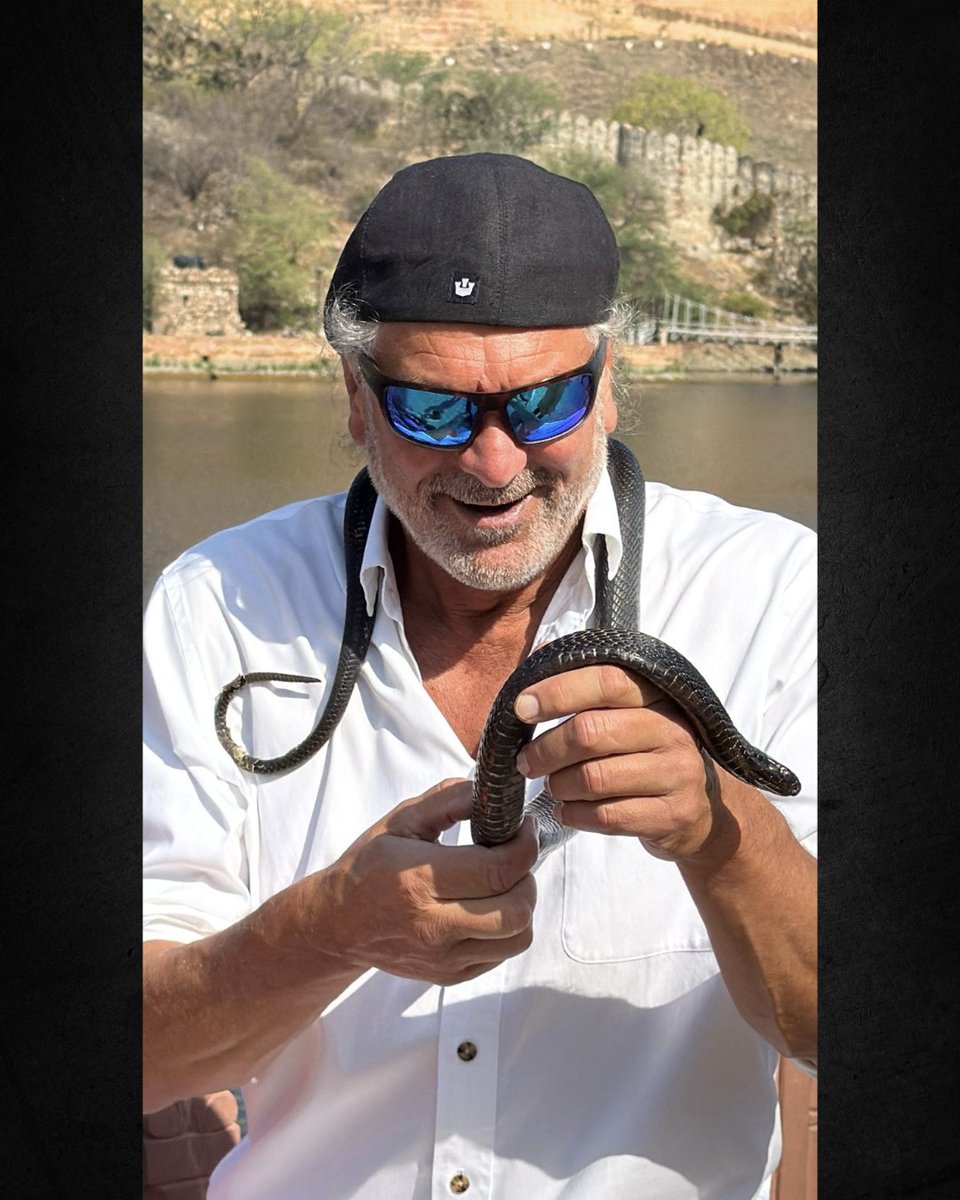 JimShockey_'s tweet image. King cobra! 🐍

Jim: “Defanged? Right? Friendly? Right? And his name is ‘Cuddles’?”

Snake charmer: “No. No. No, my tourist friend! Curdles. My cobra’s name is ‘Curdles!’ Here! Let me wrap him around your face!”

Jim: “As in blood curdles?”

#onlyliveonce