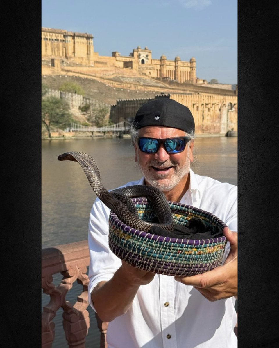 JimShockey_'s tweet image. King cobra! 🐍

Jim: “Defanged? Right? Friendly? Right? And his name is ‘Cuddles’?”

Snake charmer: “No. No. No, my tourist friend! Curdles. My cobra’s name is ‘Curdles!’ Here! Let me wrap him around your face!”

Jim: “As in blood curdles?”

#onlyliveonce