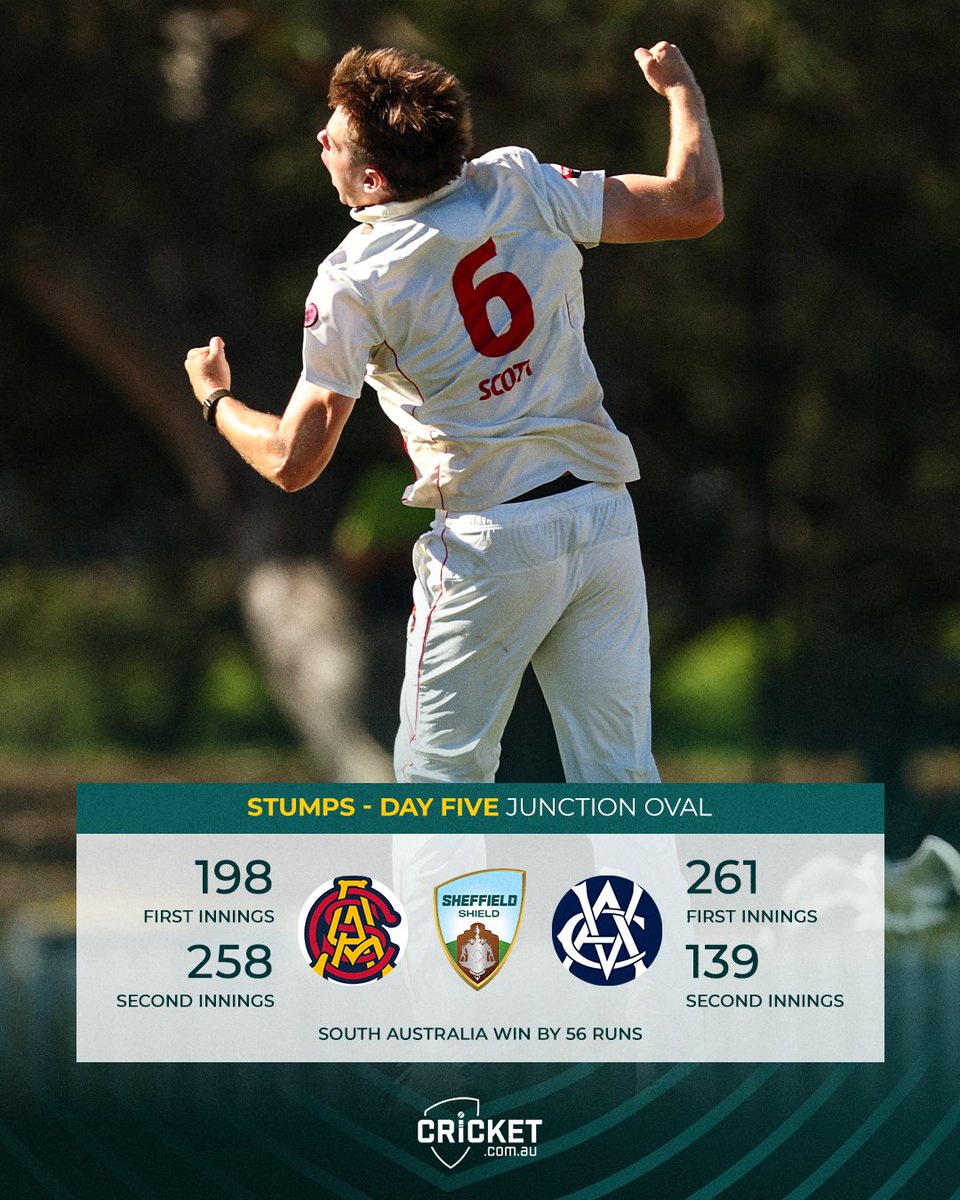 cricket.com.au tweet media