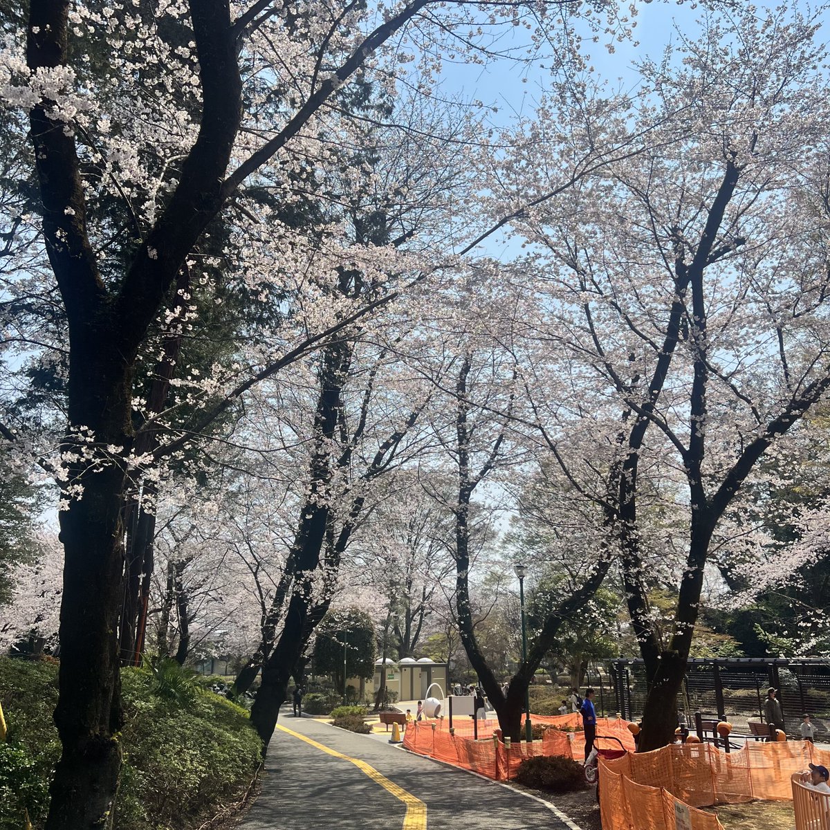 LLL_Kobayashi tweet media