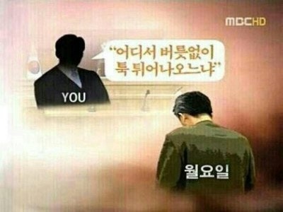 소보로 tweet media