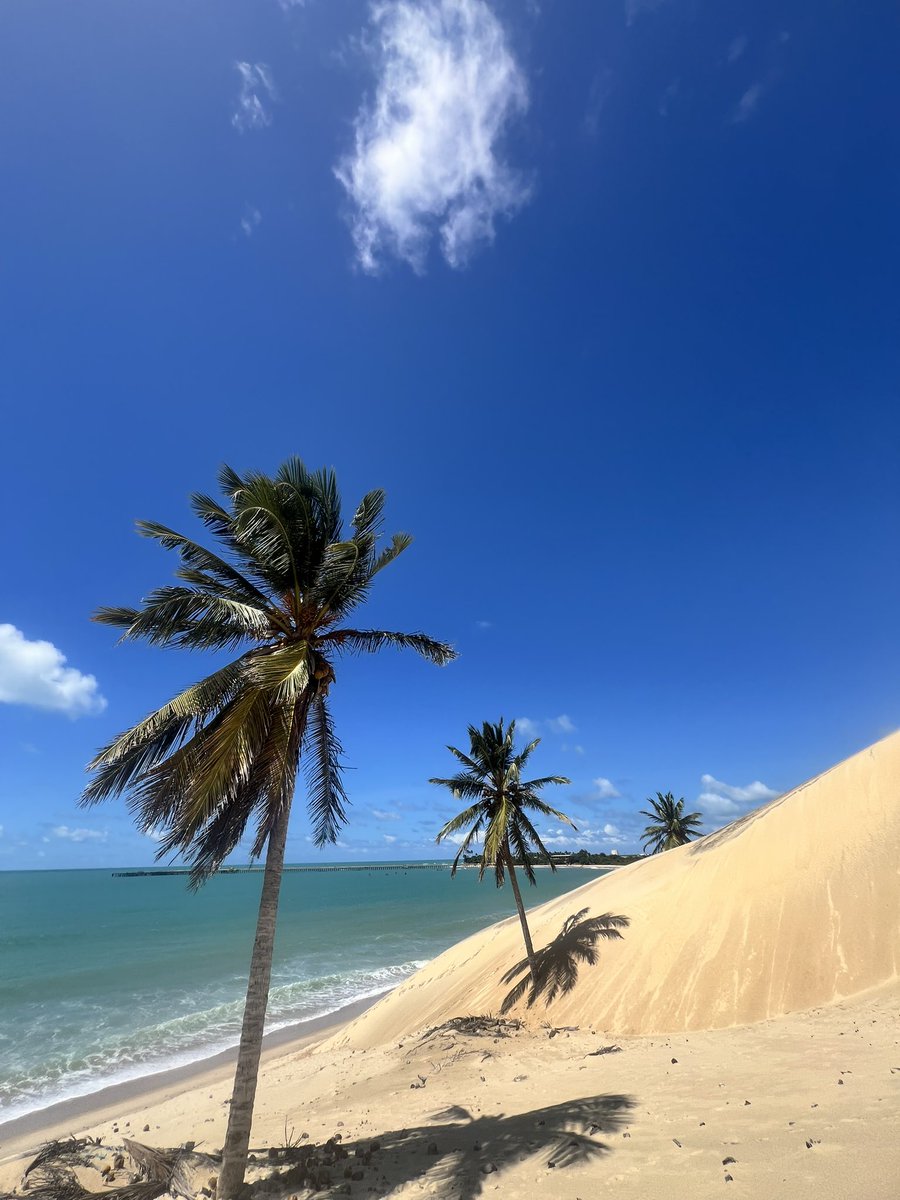 GODDESS OF MAYHEM tweet media