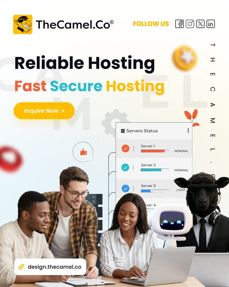 TheCamel.co tweet media