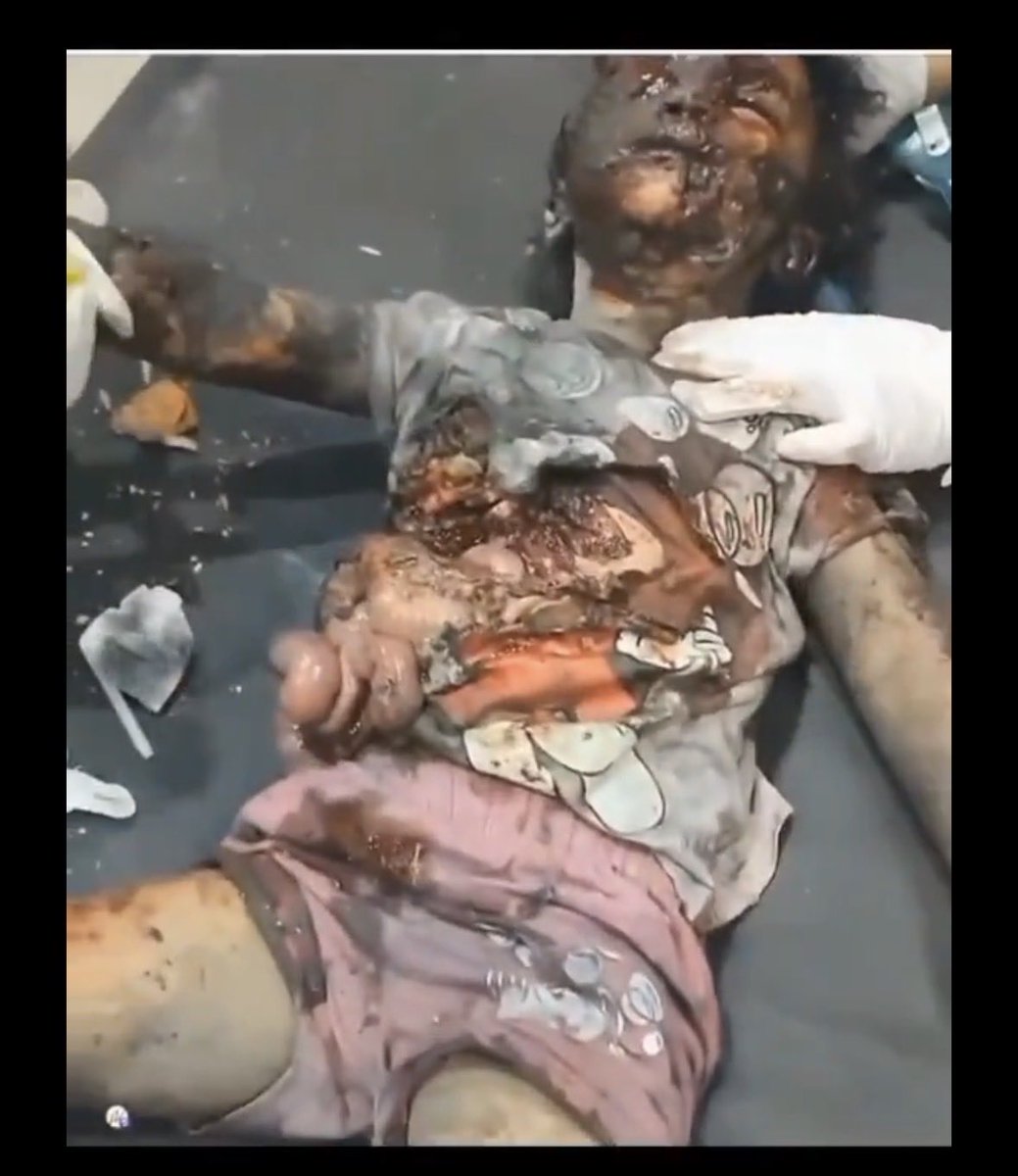 Adel El Zabayar tweet media