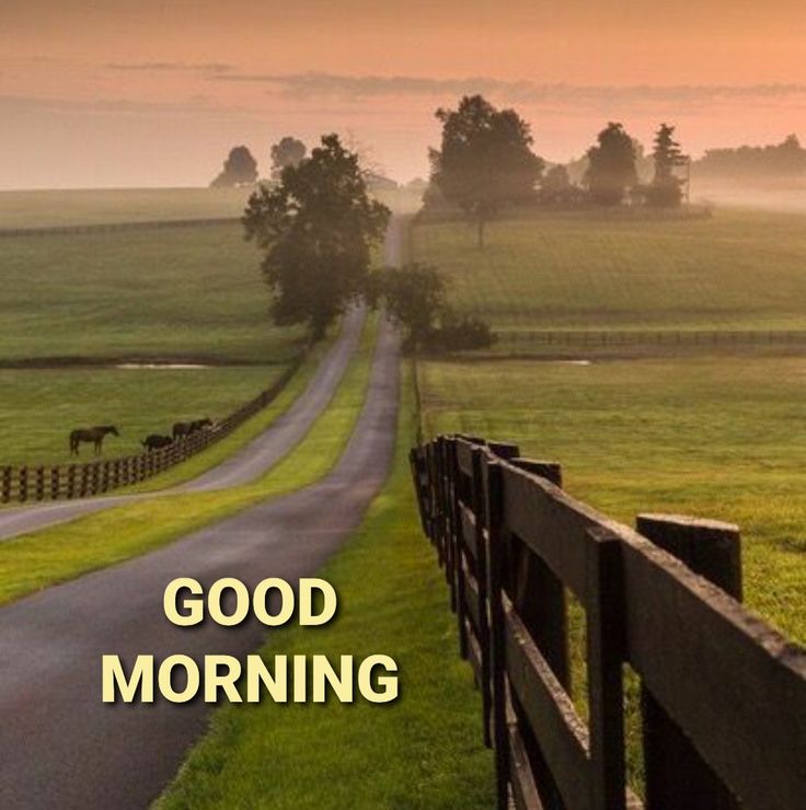 Kalpna Maurya tweet media