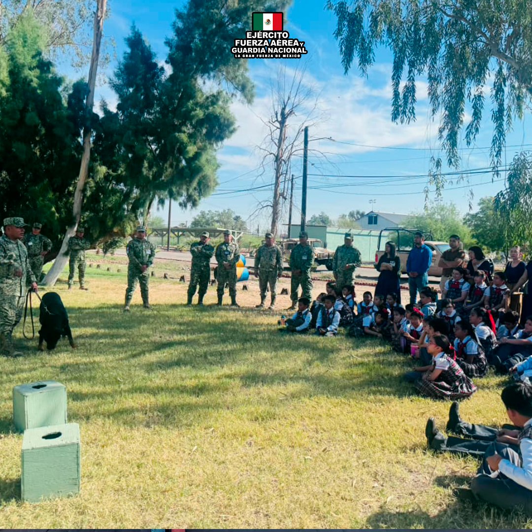 @Defensamx tweet media