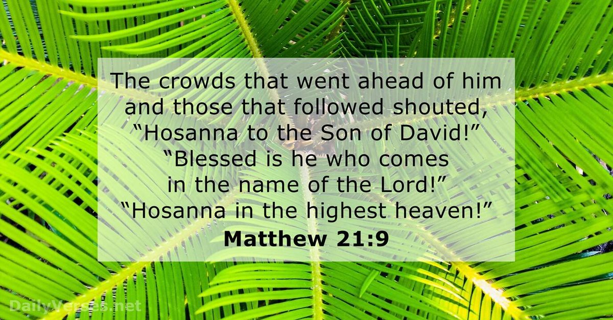 MaryfromMarin's tweet photo. .#ccot #tcot #PalmSunday #TriumphalEntry #Hosanna #SonofDavid #Lord #Jesus #Bible #GospelofMatthew https://t.co/5KbVczxkVP