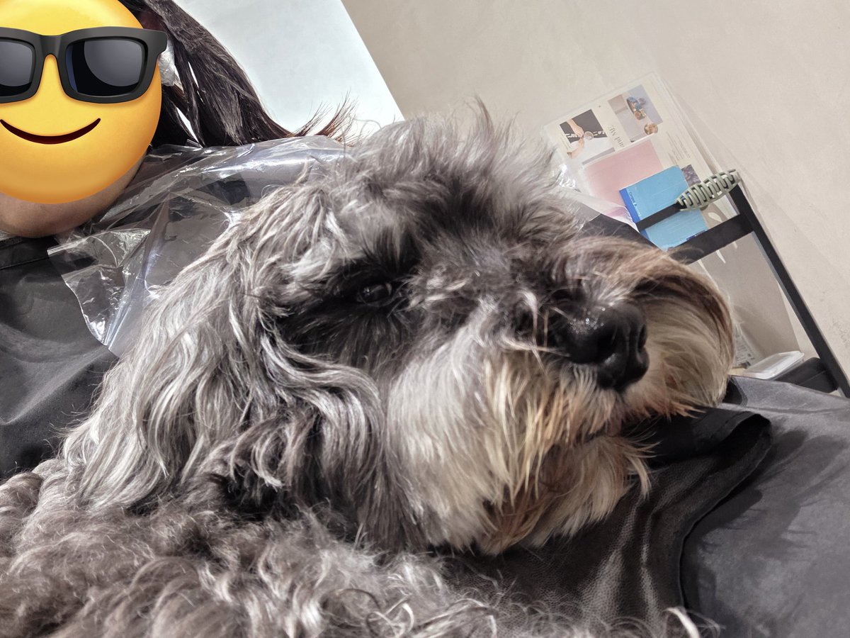 風人@ダルシムと格闘中🤛 tweet media