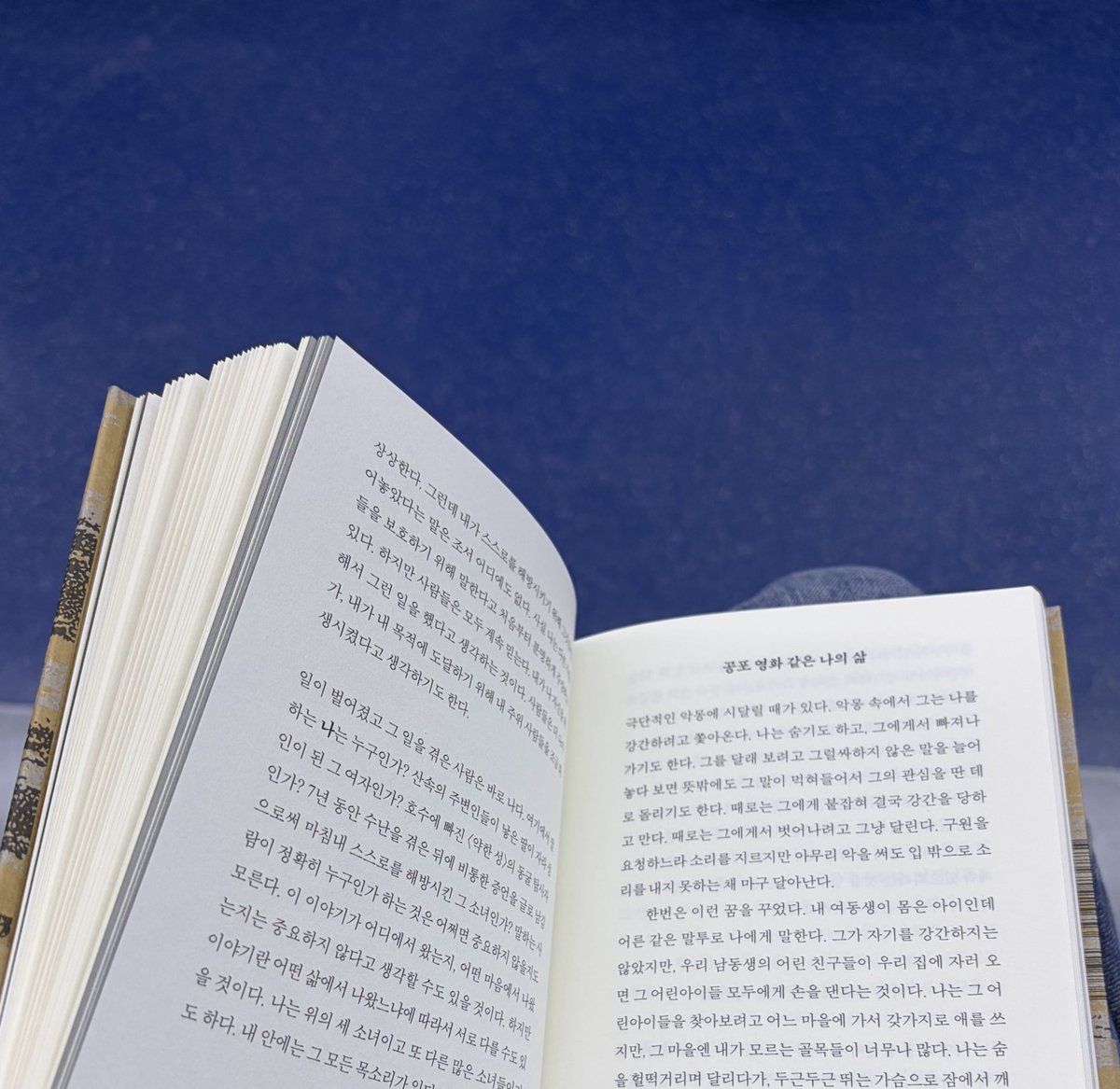 아동 성폭행에 대한 피해자의 증언들... 을 읽고 전투력 맥스된 아침 출근길. 아 진짜 싹 다 사형시켰으면 해