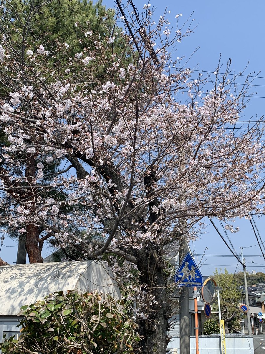 鈴木勇人 tweet media