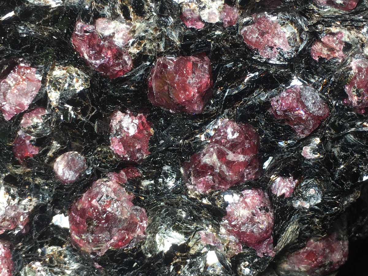 天然逆さめがね tweet media