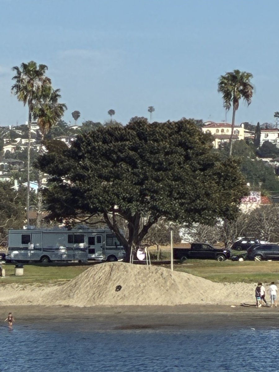 Jeffrey T Miller tweet media