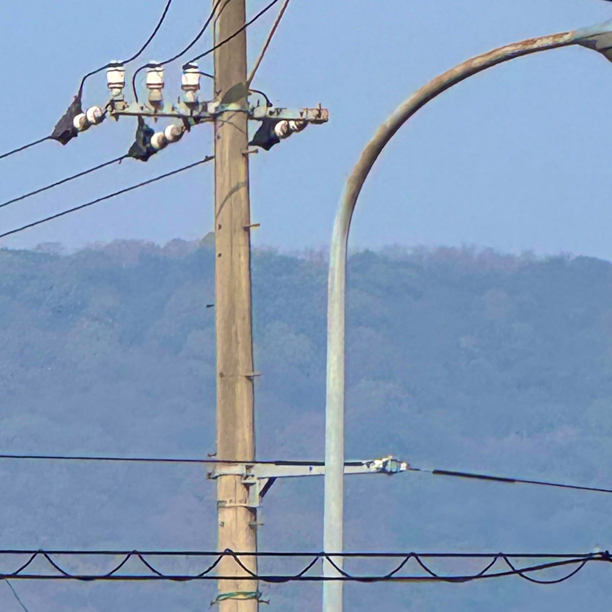 ぺこっと tweet media