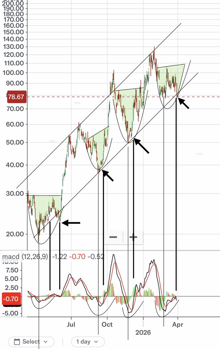 C🅰️tSE tweet media