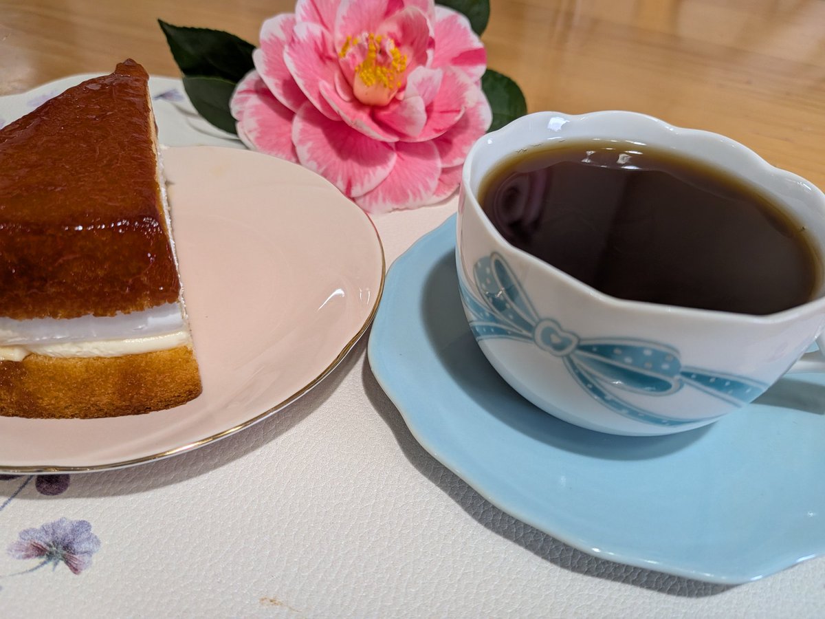 💫みつこ🎶ガーデニア💫 tweet media