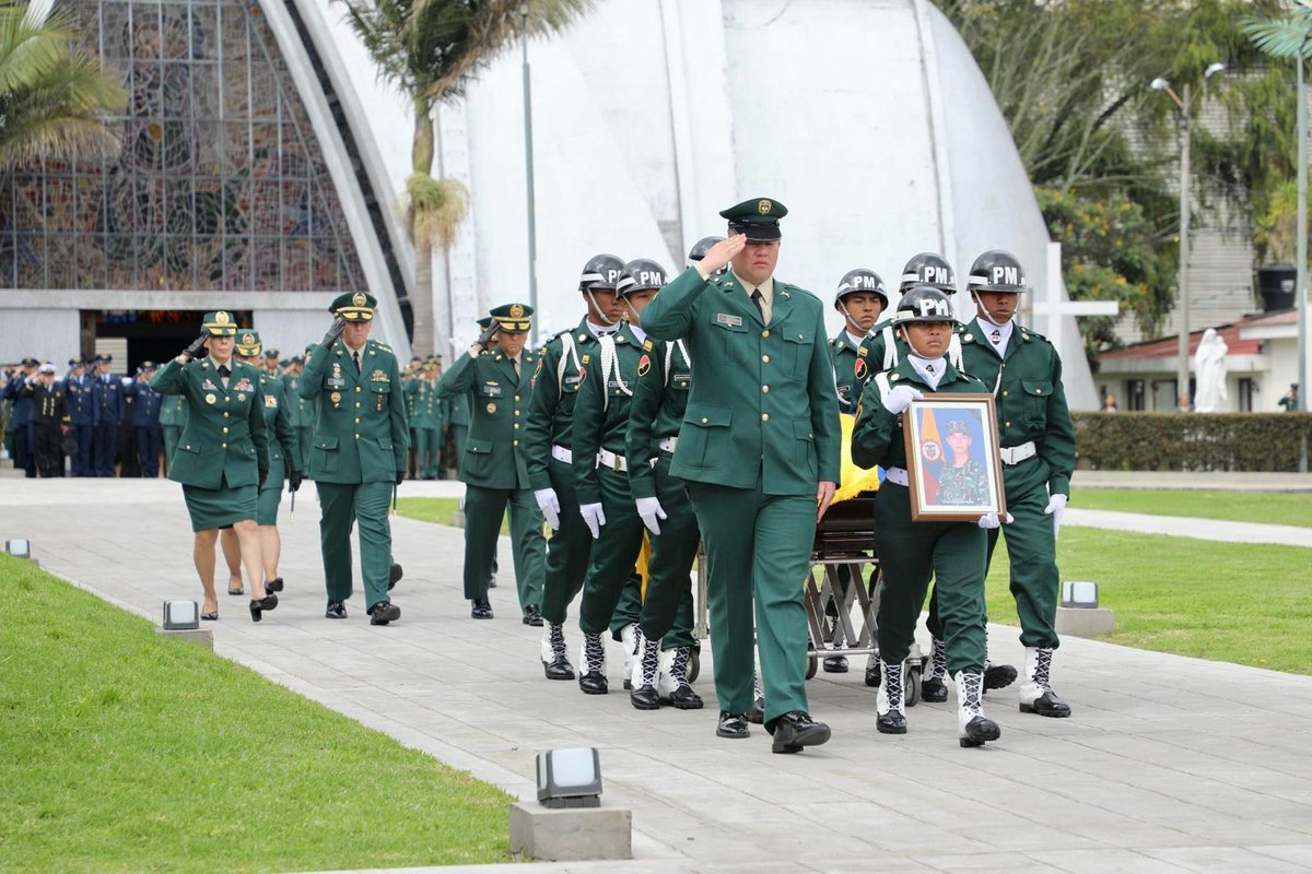 Quinta División del Ejército Nacional tweet media