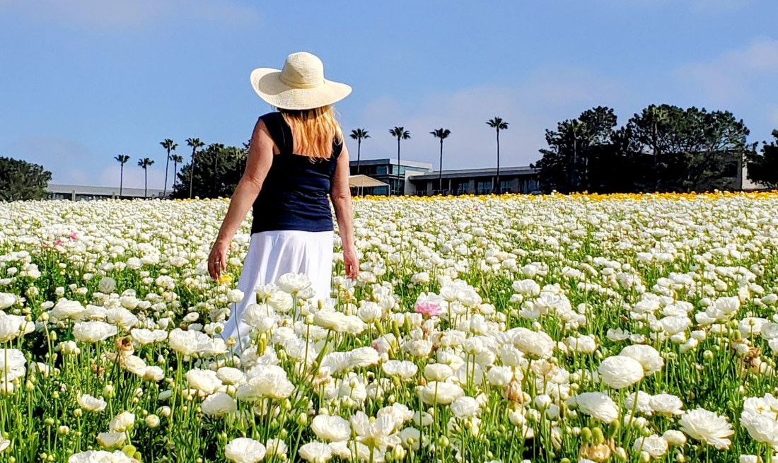 gwenkleist's tweet photo. April brings blooming flowers, fun events, and plenty of outdoor activities to enjoy. If you are planning a visit to San Diego in April, this guide is for you!
https://t.co/J70GZF2VmC https://t.co/0r27uzBzhI
