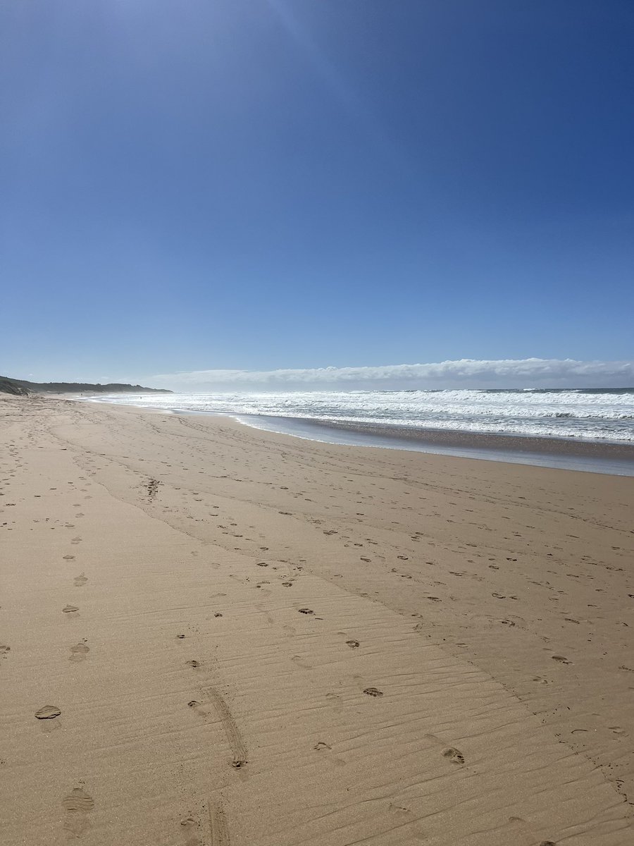 Agent99c's tweet image. Sunday driving down the coast to Thirroul and Wollongong.sunny day a bit windy but nice. We had breakfast at a nice cafe  in Thirroul nice food coffee and nice people. After continuing to the beach sun bathing back in the afternoon 
#driving #sunday #sunny #food #eat