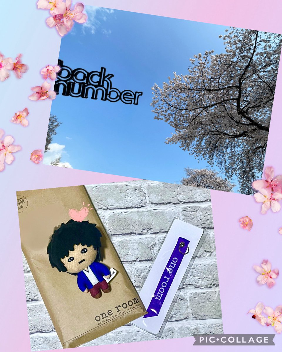 はっち☆*。 tweet media