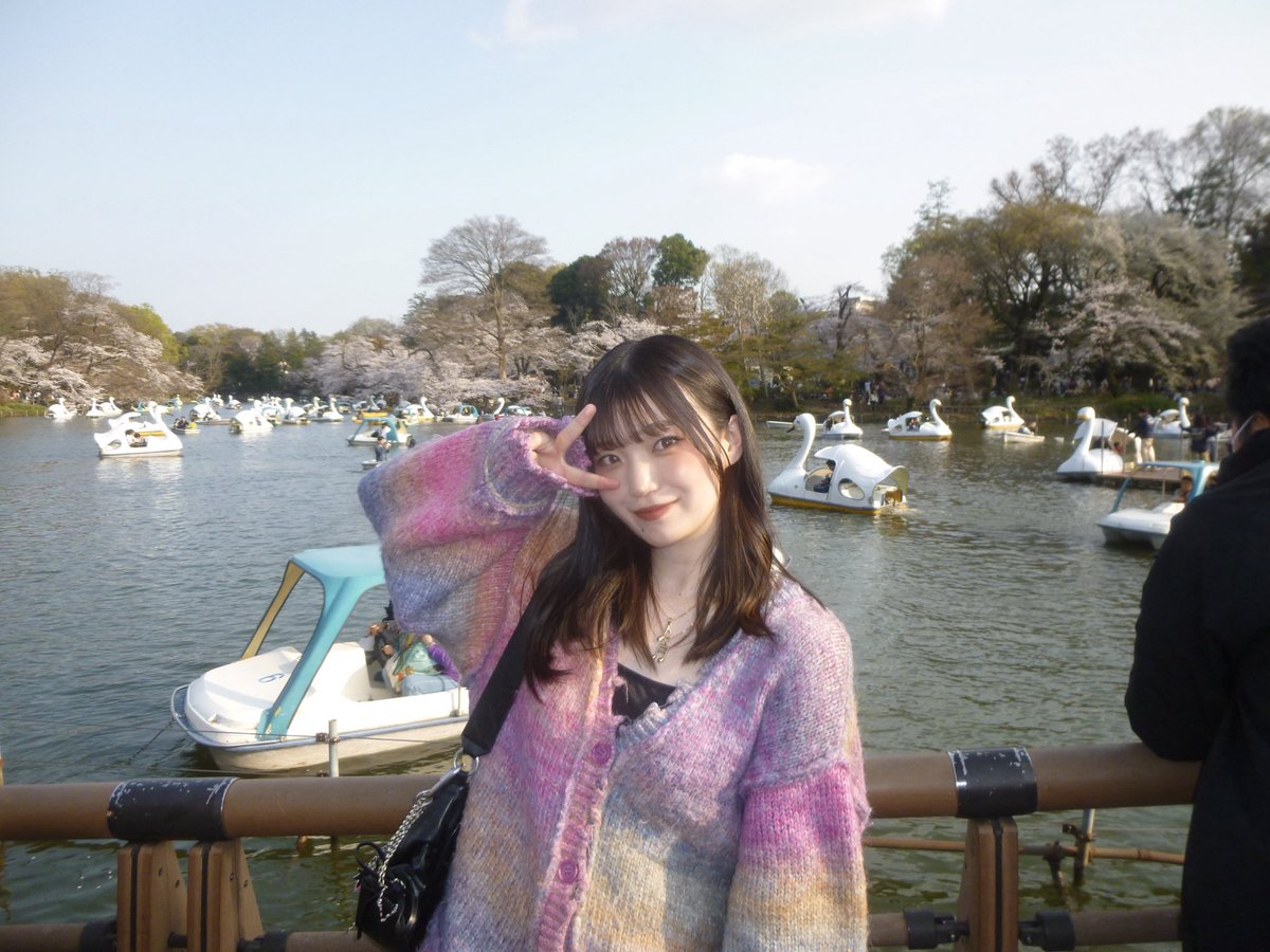 harunap° tweet media