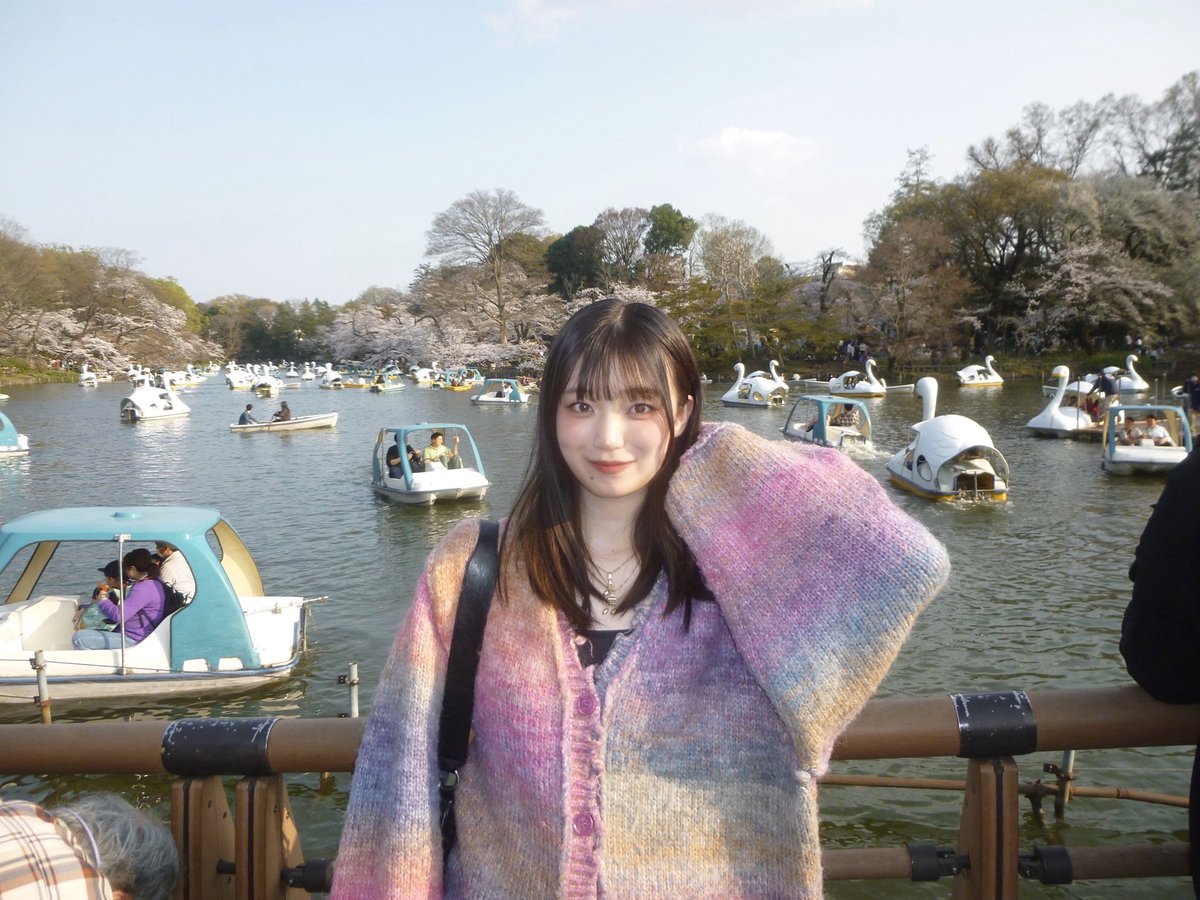 harunap° tweet media