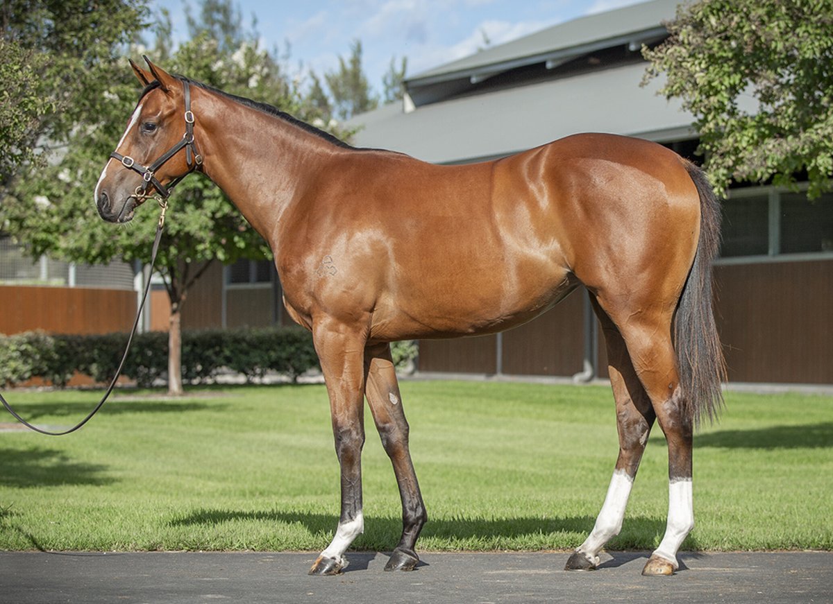 Anthony Freedman Racing tweet media