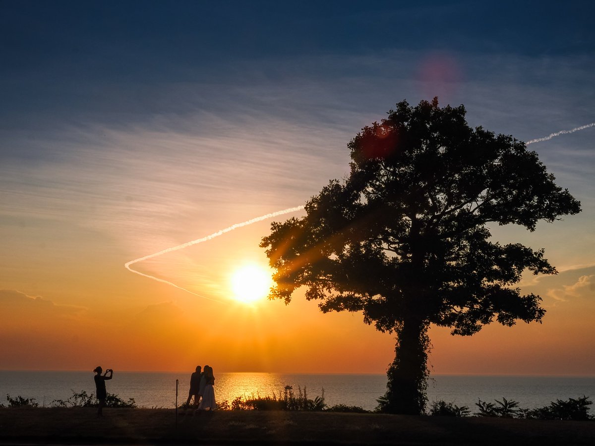 Ray_Phil72's tweet image. The value of a single #tree…
QP or share yours.