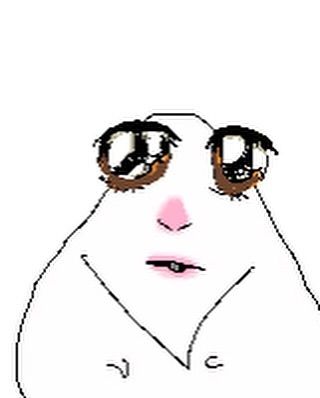 𓏔͠𝐵𝑙𝑎𝑐𝑘𝑐𝑎𝑡⁷.ᐟ ˙ 𖦹 tweet media