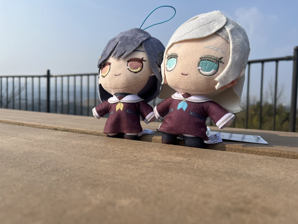 こうすけ tweet media