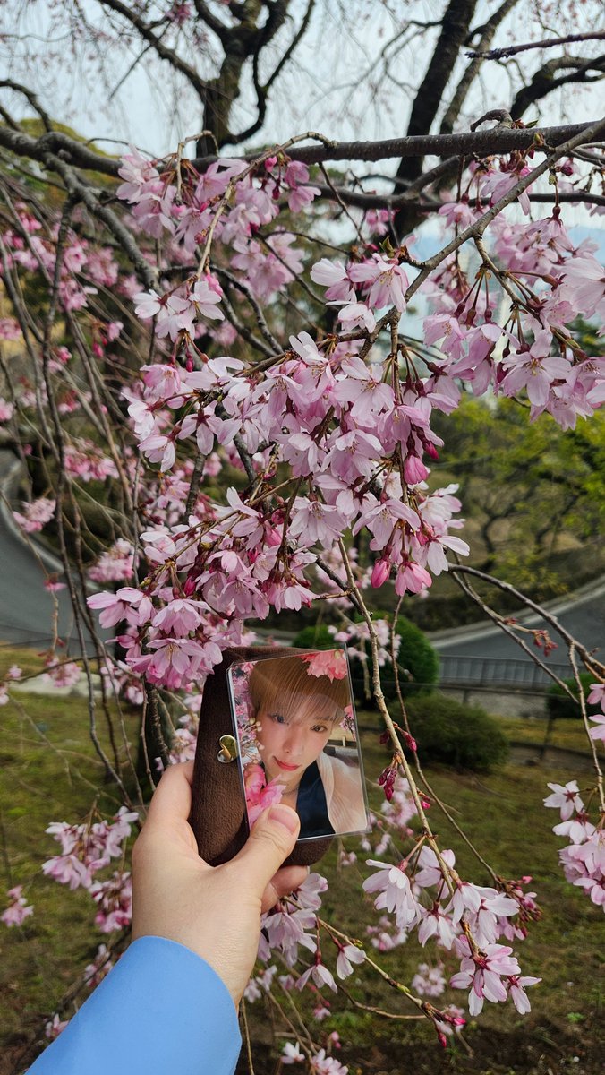 めぐみ ⚝ vai ver &team tweet media