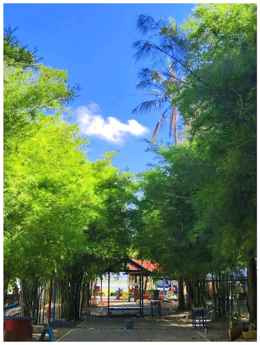 Perlis Permai tweet media