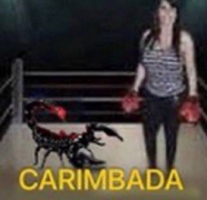 𝑒𝑠𝑡𝑒𝑣𝑎𝑚 tweet media