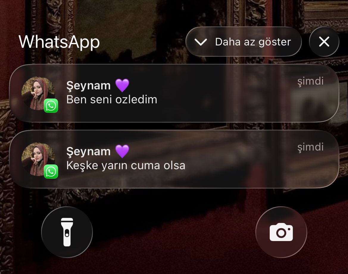 ceyda tweet media