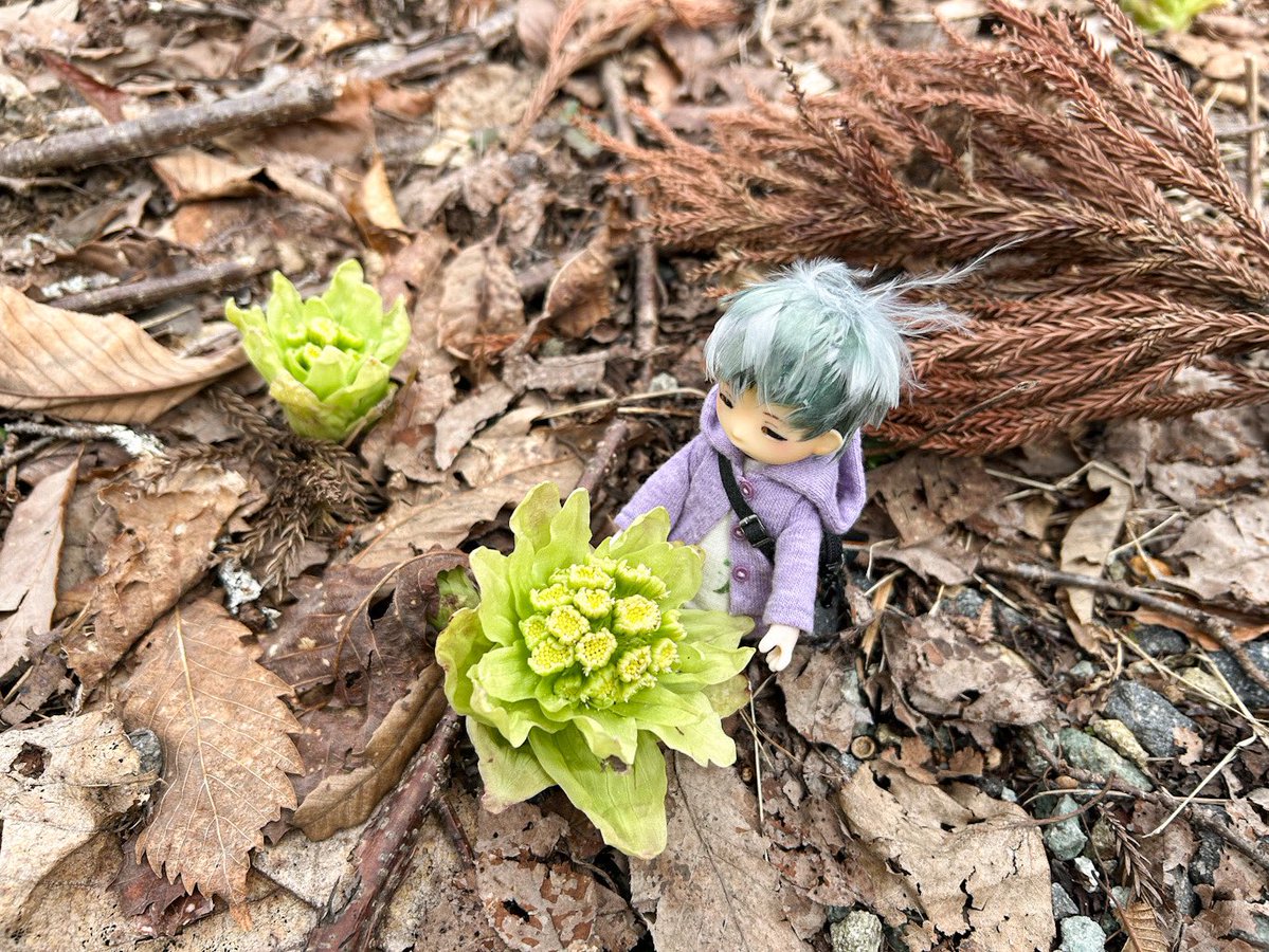 しおつ tweet media