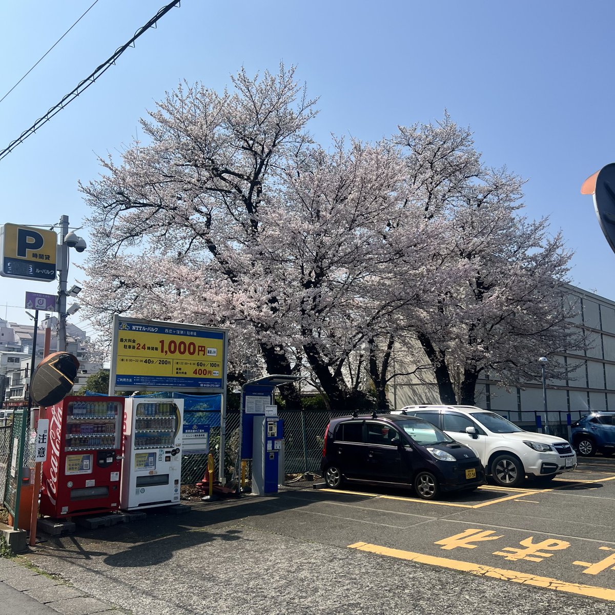 LLL_Kobayashi tweet media