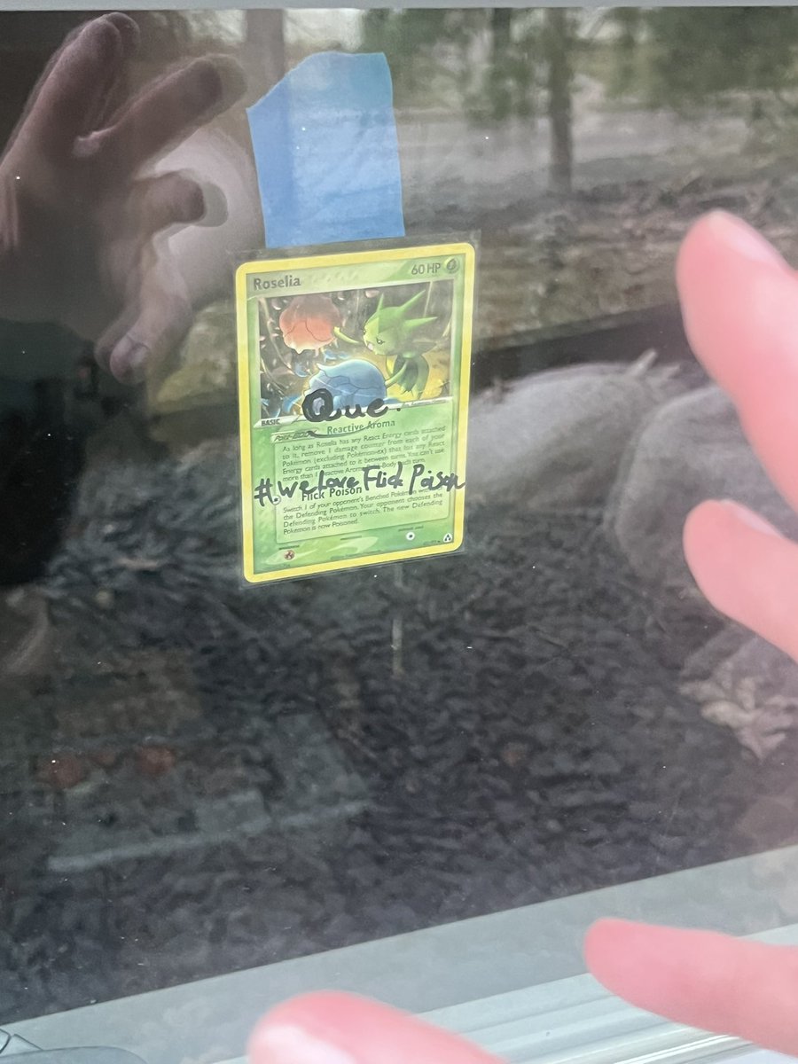 Winner. 🐌 tweet media