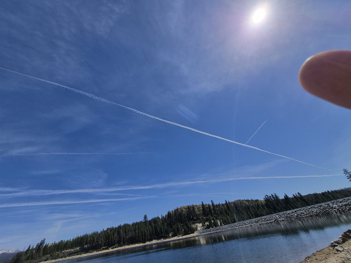 mrlemons tweet media