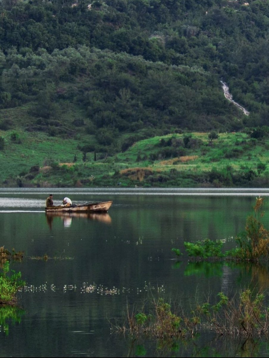 فال خير tweet media