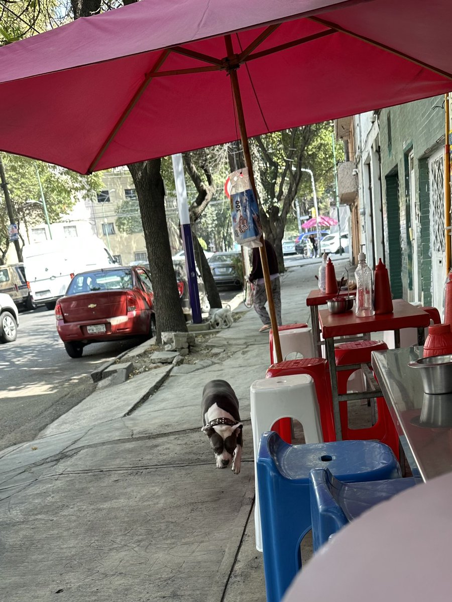 REPORTINQUIETO 🇲🇽💫 tweet media