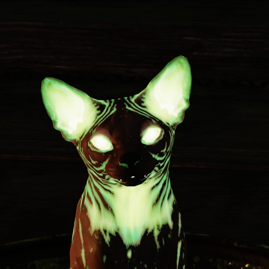 RandoWasteland's tweet image. This lil dude, Omg 💚
#Fallout76 #Backwoods