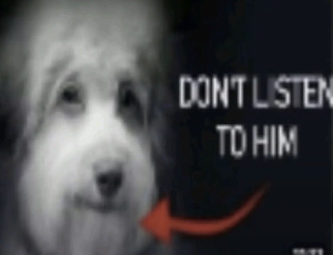 carterthefifth's tweet image. 