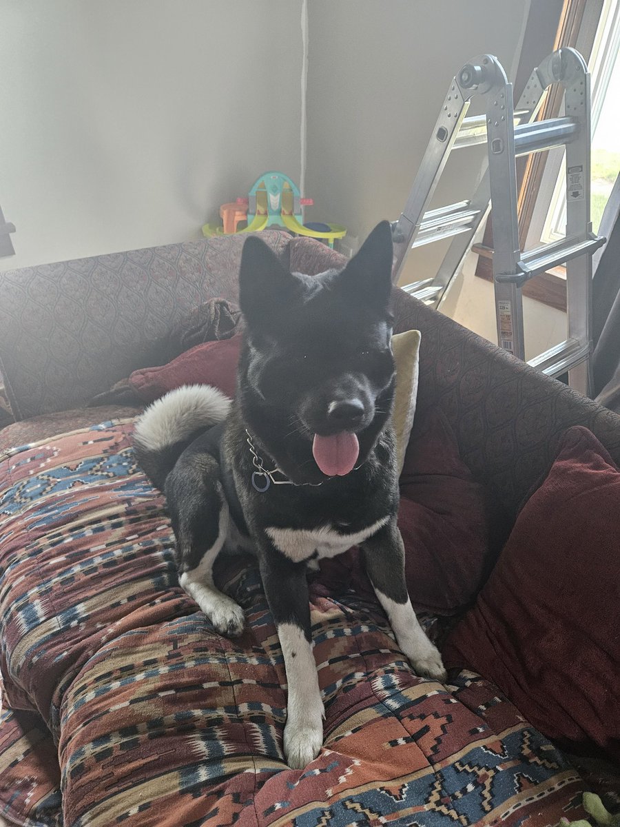 JackOfDiamonds tweet media