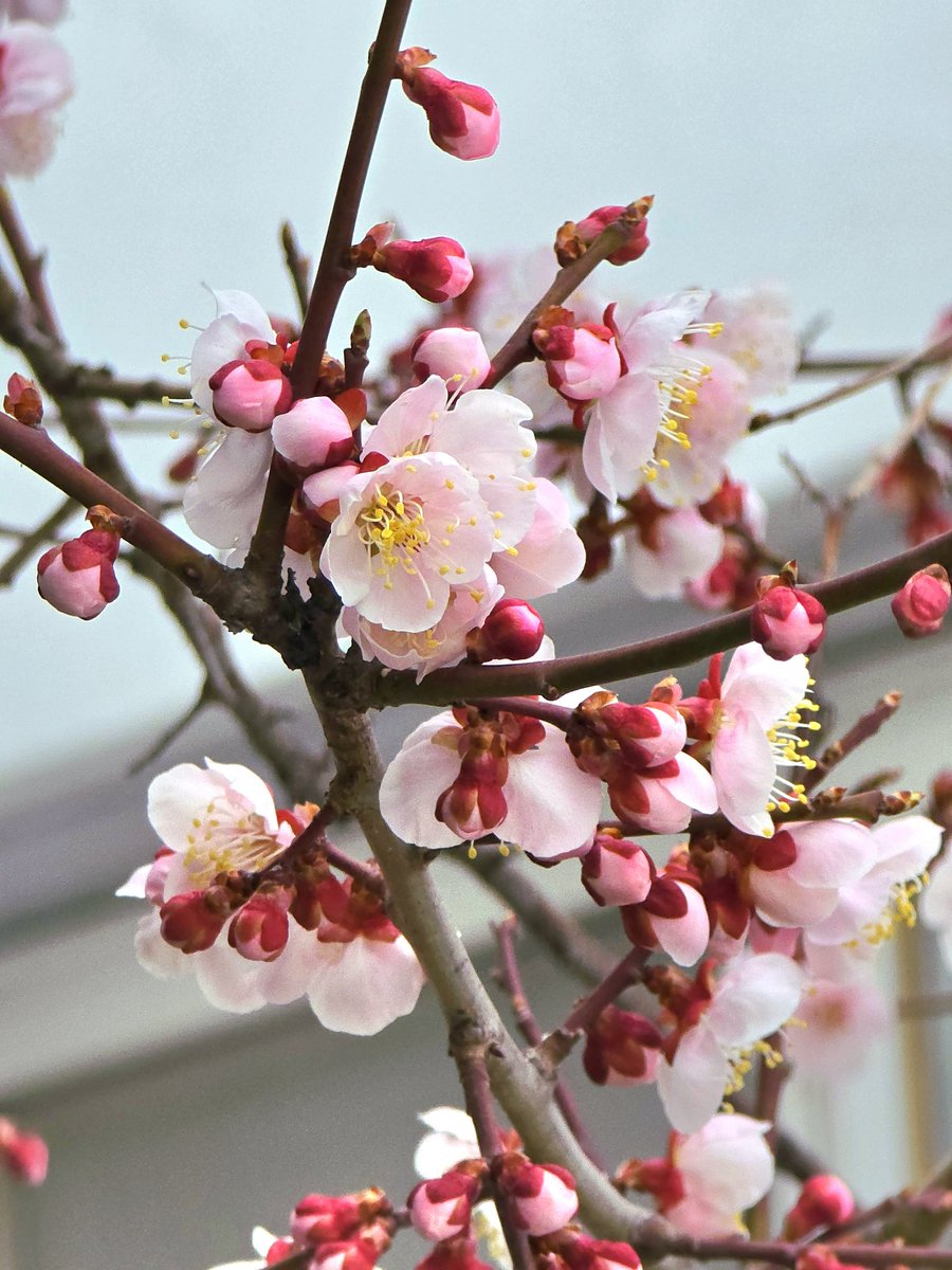 스카 블레인🥽💚 tweet media