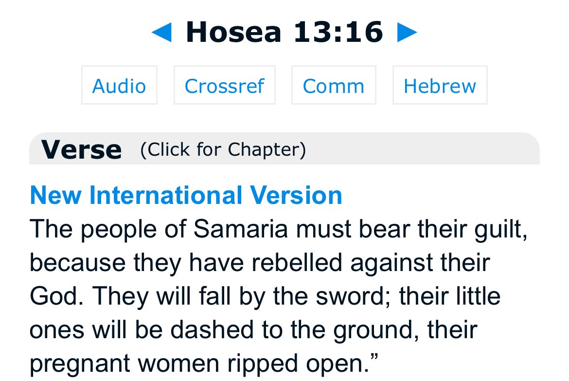 Zbub Zbuu tweet media