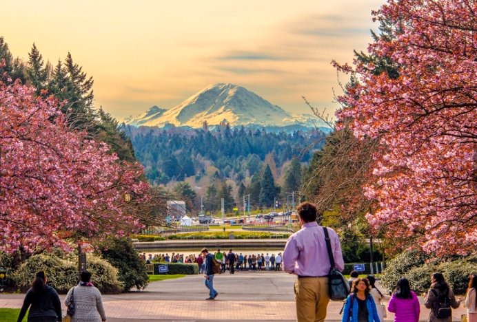 the imperial writ tweet media