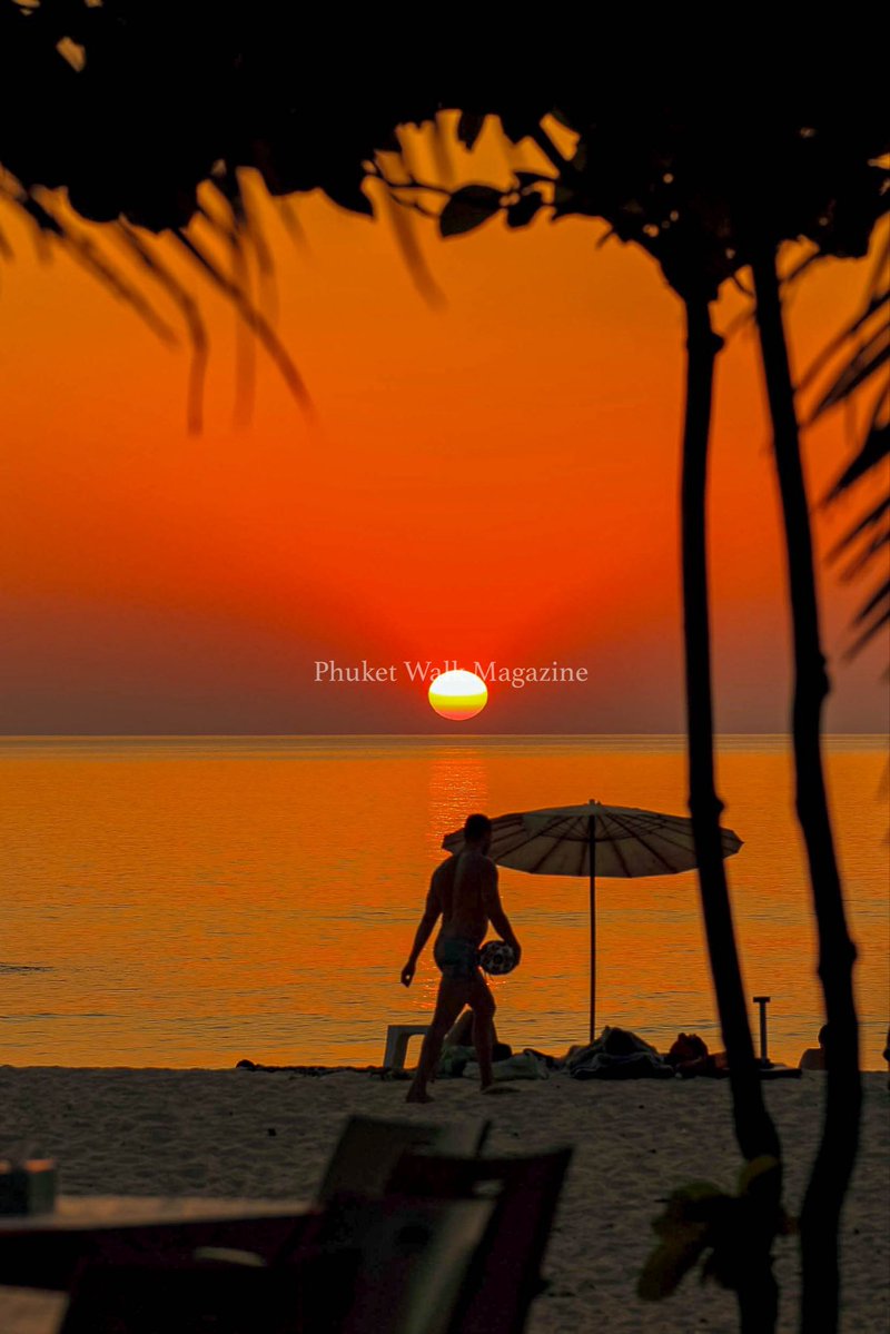 撮りたい tweet media