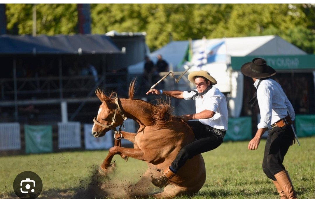 Gustavo Pintos tweet media