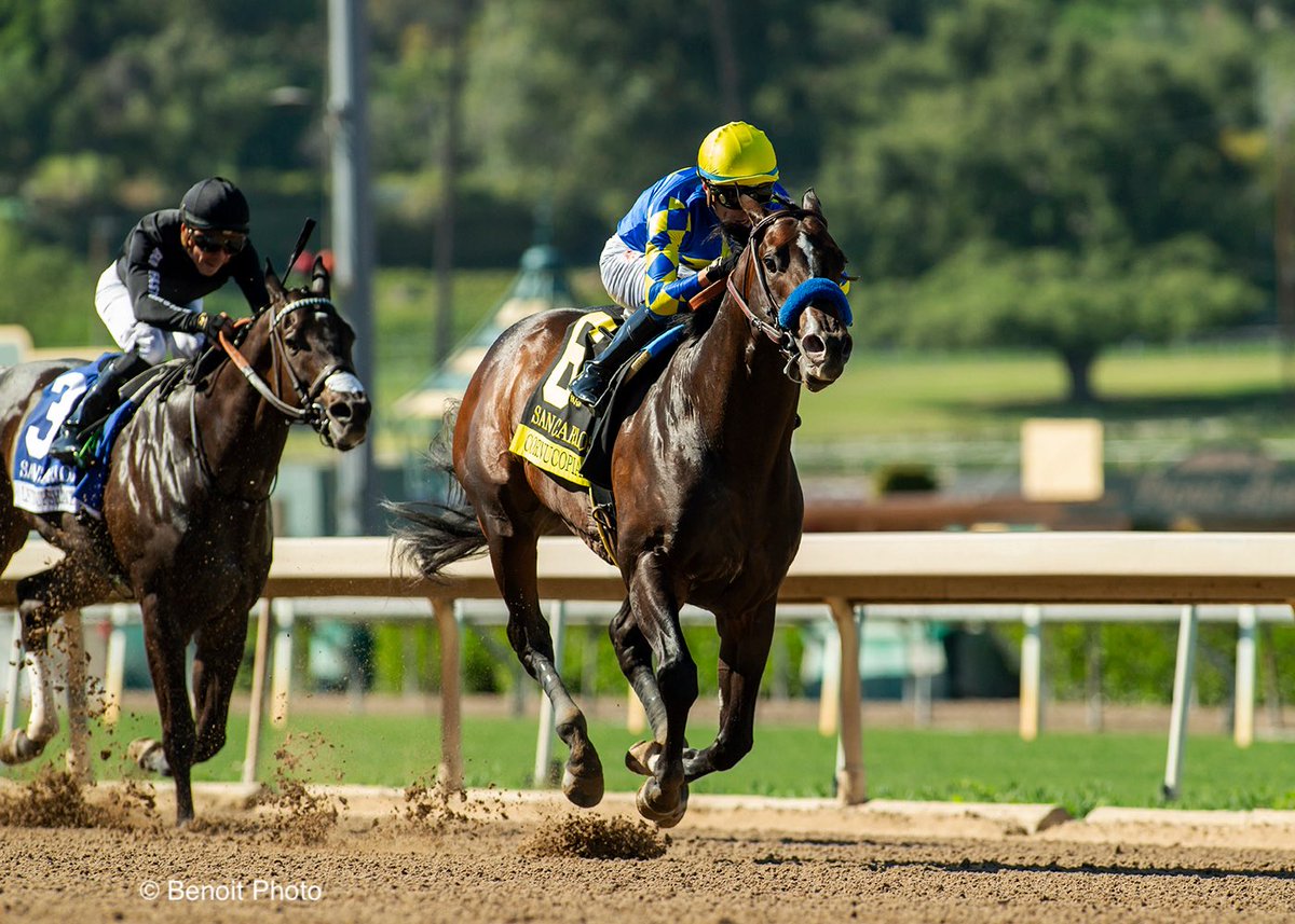 benoitphoto_'s tweet photo. Cornucopian and jockey Juan Hernandez win the Grade III, $100,000 San Carlos Stakes, Sunday, March 29, 2026 at Santa Anita Park, Arcadia CA.

View all our photos at https://t.co/GRX92DKjLs 

© BENOIT PHOTO https://t.co/xZPmFU0QG9