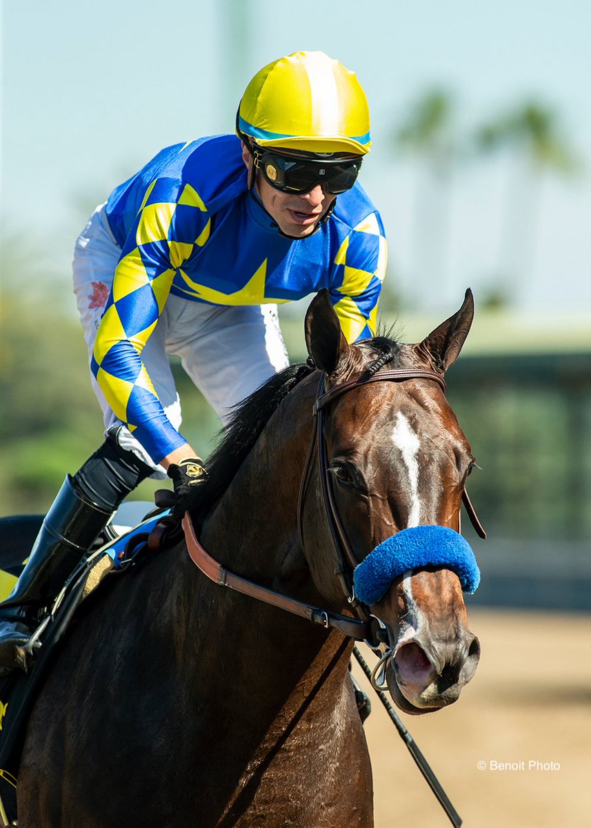 benoitphoto_'s tweet photo. Cornucopian and jockey Juan Hernandez win the Grade III, $100,000 San Carlos Stakes, Sunday, March 29, 2026 at Santa Anita Park, Arcadia CA.

View all our photos at https://t.co/GRX92DKjLs 

© BENOIT PHOTO https://t.co/xZPmFU0QG9
