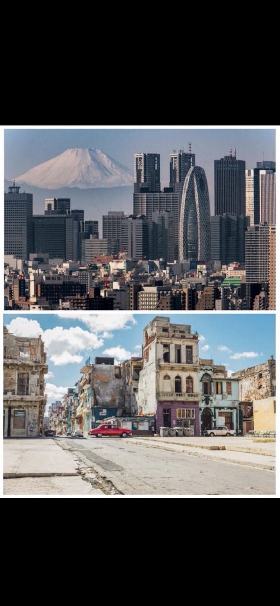 Adolfo Z tweet media